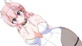 【RPG/汉化】她沦为奴隶的理由-女盗贼希尔菲与不眠岛 云汉化/付CG【2G】